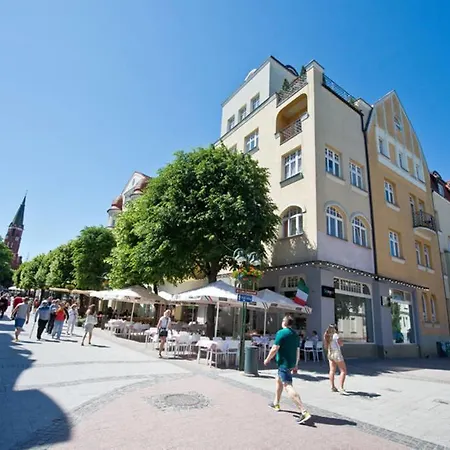 Homestay In The Centre Of * 소포트
